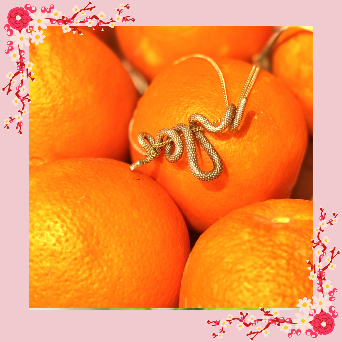 Collana Metamorfosi